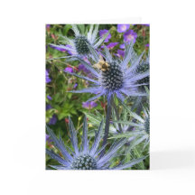 Chihuly Garden e Glass, Seattle, série WA