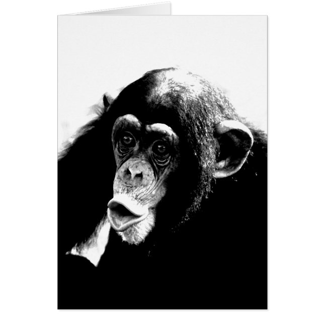 Cartão Chimpanzé Branco Preto (Frente)