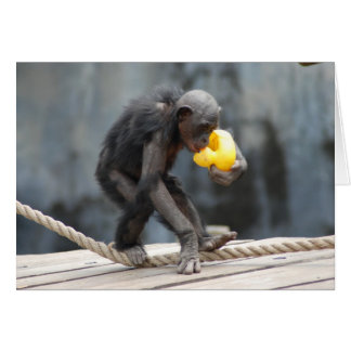 Cartão Chimpanzé e Rubbery Ducky
