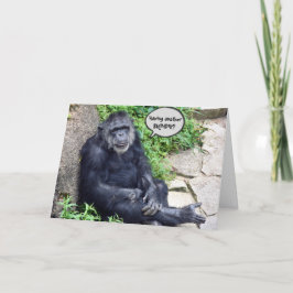 Cartão Chimpanzé envelhecendo