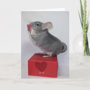 Cartão Chinchila alcançando coração rosa