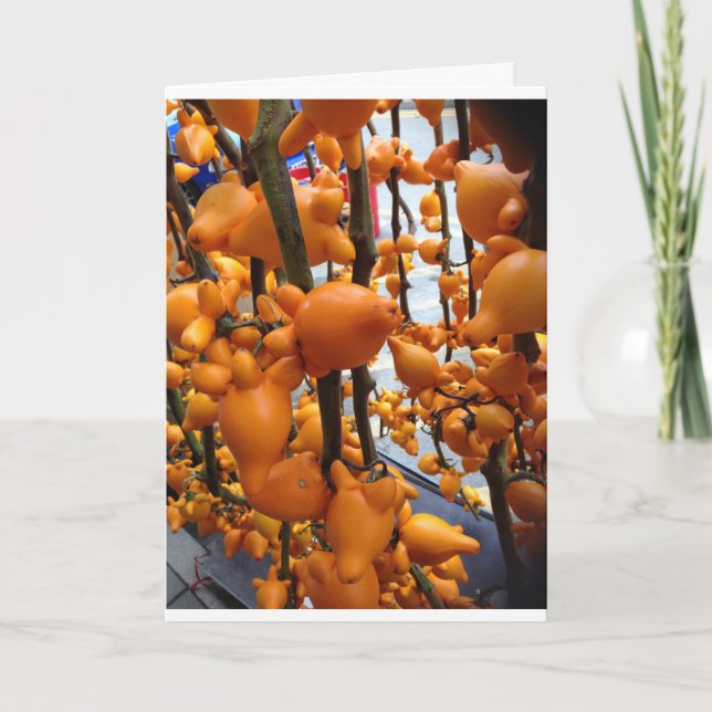 Cartão chinês do ano novo. Gordura Choi de Kung (Frente)