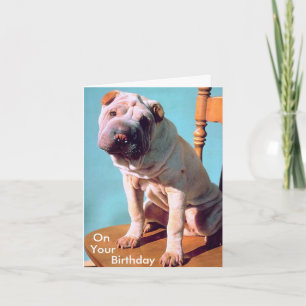 Cartão Chinese Shar-Pei