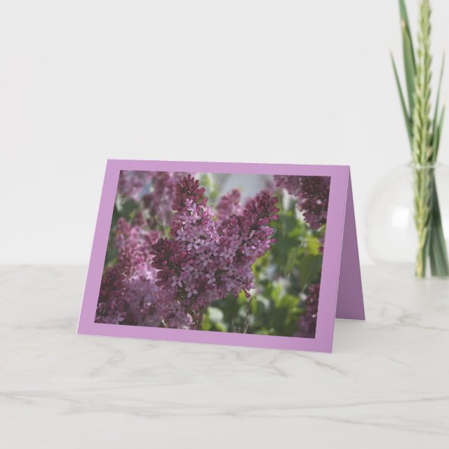 CARTÃO CHINTZ DA CASA DE CAMPO (Frente)