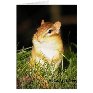 Cartão Chipmonk sorridente