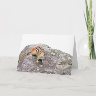 Cartão Chipmunk