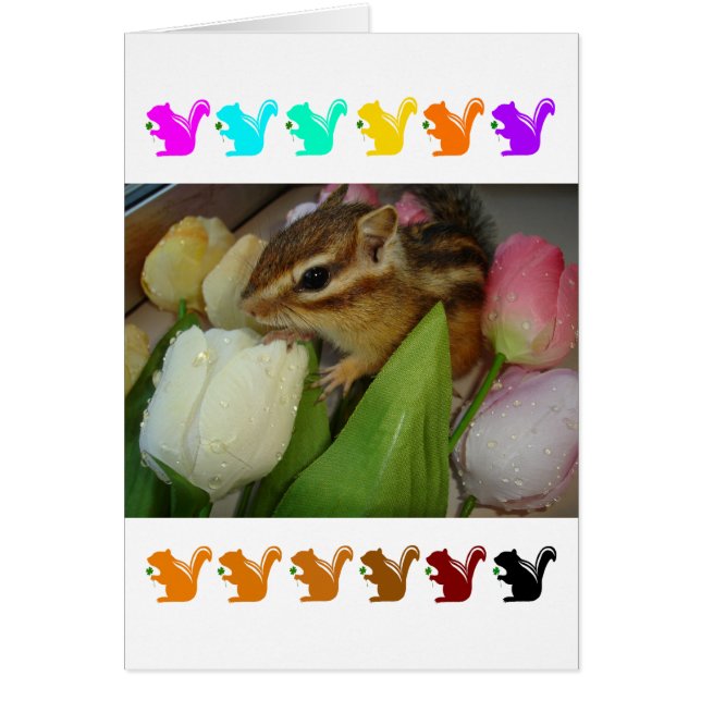 Cartão Chipmunk and flower (pohto)　type-5 (Frente)