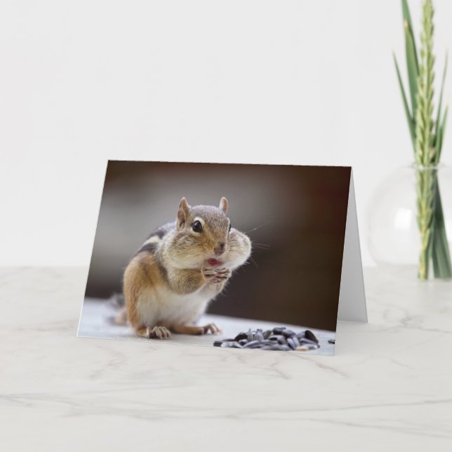 Cartão Chipmunk com a foto do cheio dos mordentes (Frente)