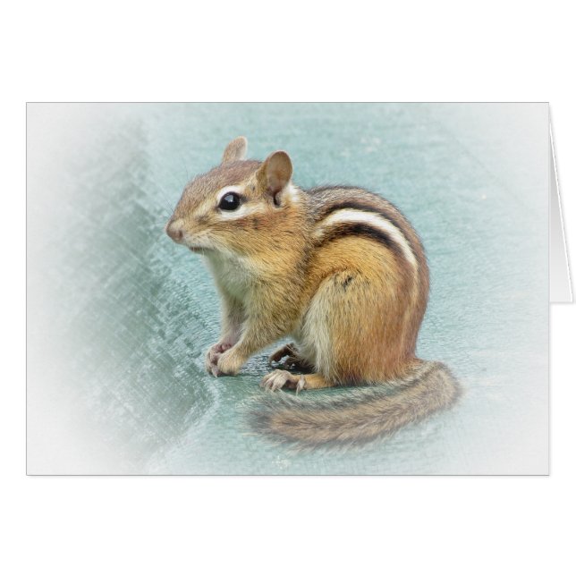 Cartão Chipmunk doce (Frente Horizontal)