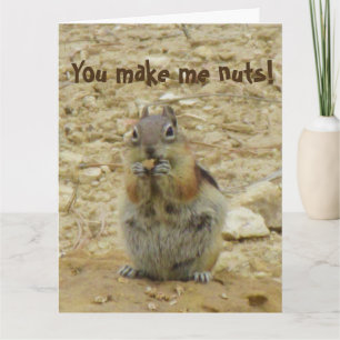 Cartão Chipmunk Funny Card