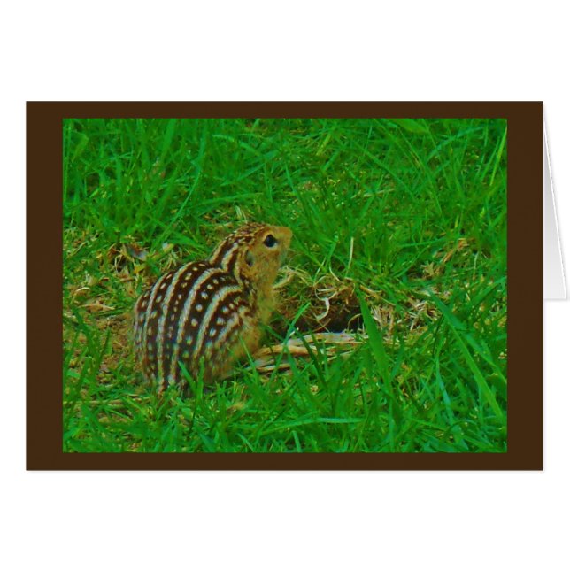 Cartão Chipmunk Hello (Frente Horizontal)