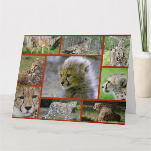 Cartão Chita-Colagem001