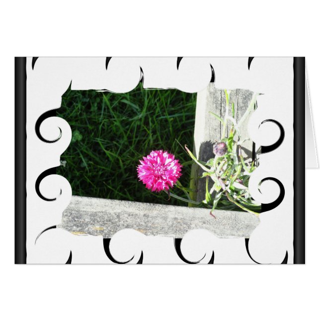 Cartão Chive (Frente Horizontal)