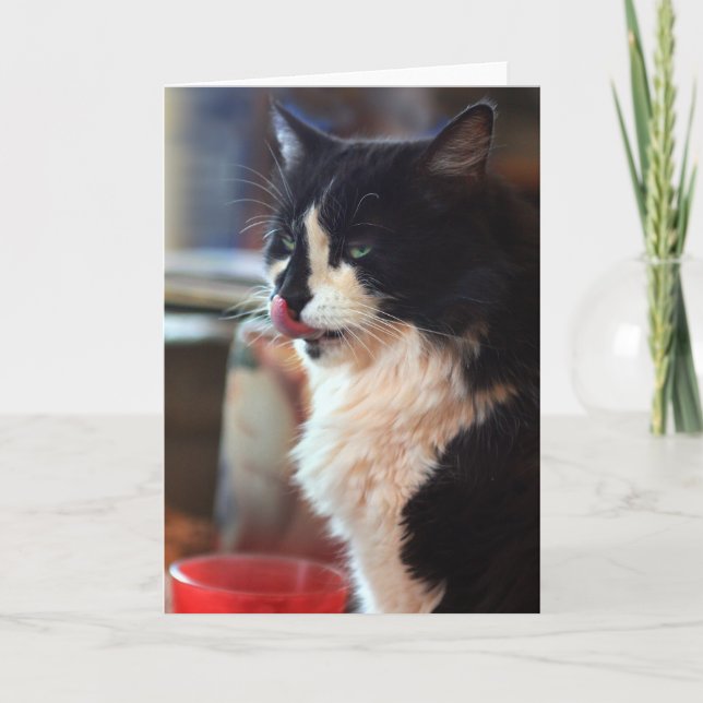 Cartão Chloe lambe (Frente)