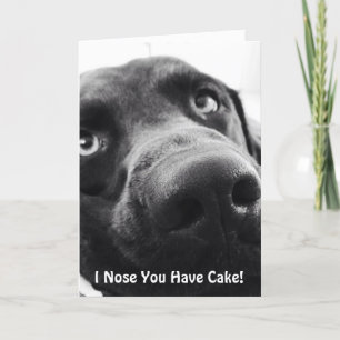 Cartão Chocolate Lab Birthday Greeting Card