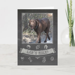 Cartão Chocolate Lab Chalkboard Birthday Card