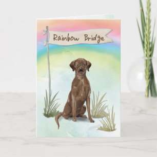 Cartão Chocolate Lab Pet Sympathon Rainbow Bridge