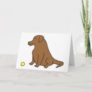 Cartão Chocolate Lab “Sit. Stay. Have A Ball.” Birthday