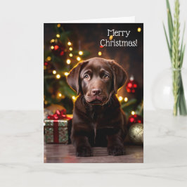Cartão Chocolate Labrador Cachorro Cachorro Cachorro