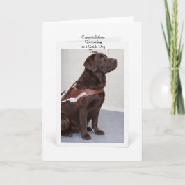 Cartão Chocolate Labrador Guide Dog Graduation