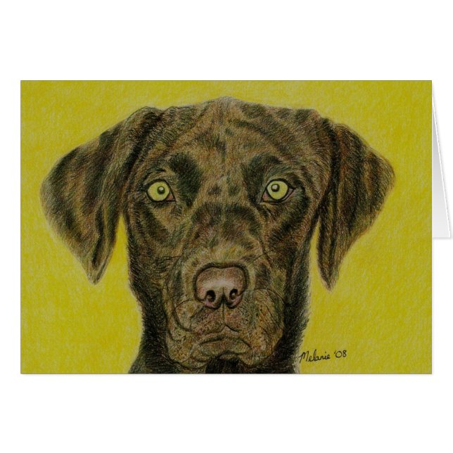 Cartão Chocolate Labrador - Hershey (Frente Horizontal)