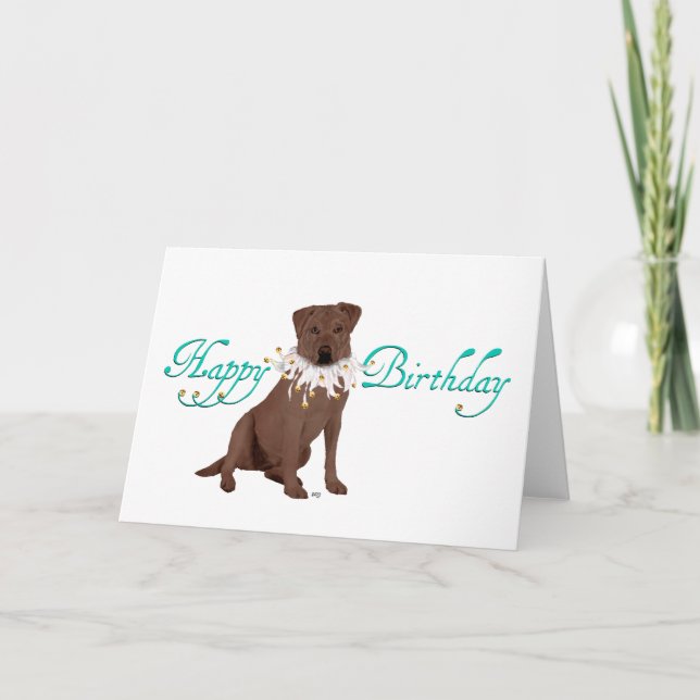 Cartão Chocolate Labrador Retriever Birday (Frente)