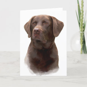 Cartão Chocolate Labrador Retriever Greeting Cards