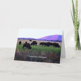 Cartão Choctaw Greeting Cards ( Yunnush )