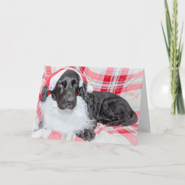 Cartão Christmas Bah Humbug (Frente)