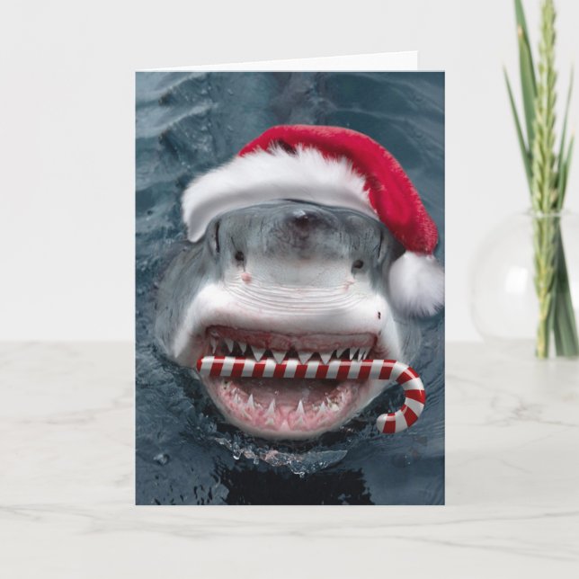 Cartão Christmas Shark (Frente)