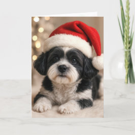 Cartão Christmas Shih Tzu Dog With Santa Hat