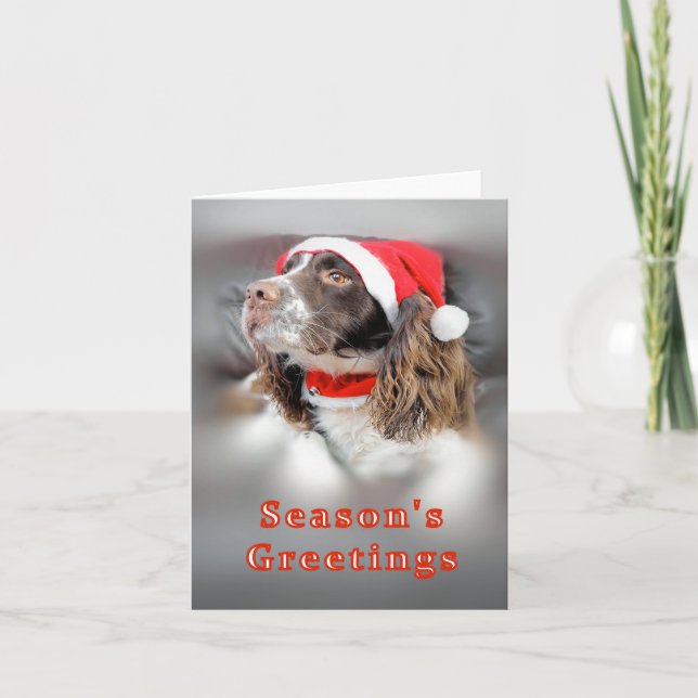 Cartão Christmas Springer Spaniel (Frente)