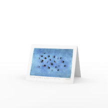 Chromis atrasando-se