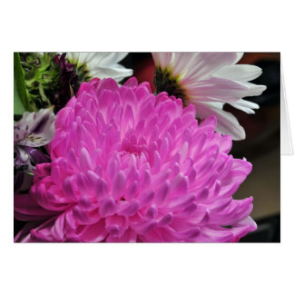Cartão Chrysanthemum Rosa
