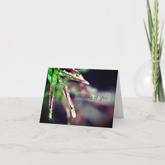 Cartão Chuva gotas na folha pensando em você (Frente)