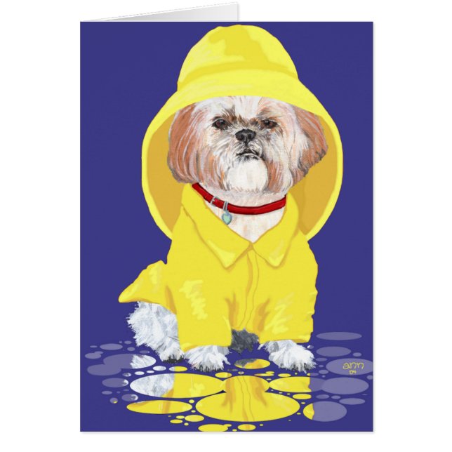 Cartão Chuvas de Abril Shih Tzu (Frente)