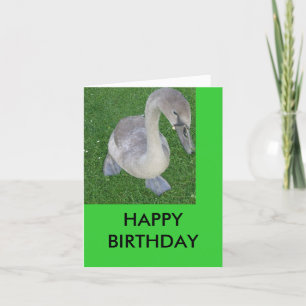 Cartão ciberredes em terra, FELIZ ANIVERSÁRIO