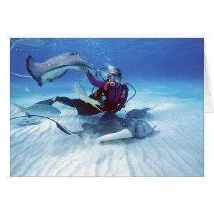 Cartão Cidade Stingray, Grand Cayman, Ilhas Cayman,