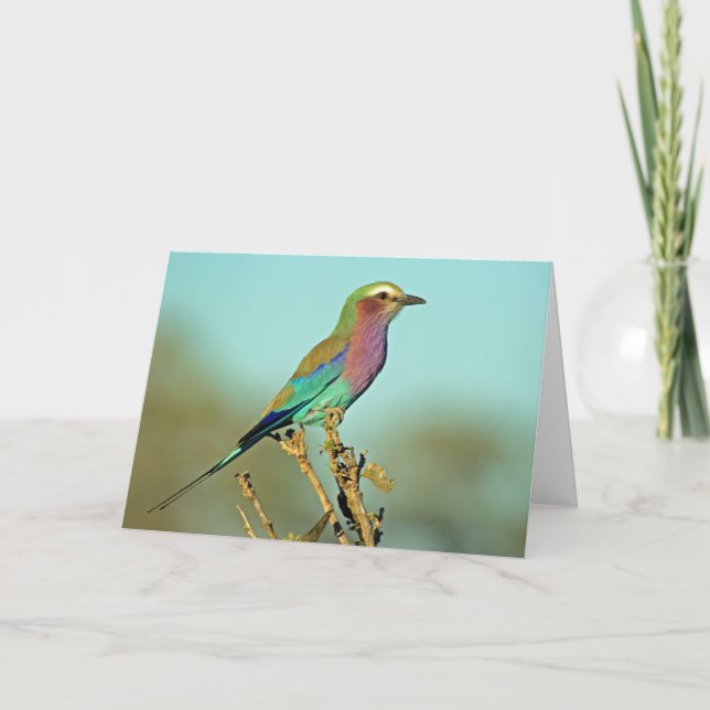 CARTÃO CILINDRO LÍLAC TORRADO (Frente)