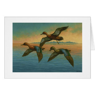 Cartão "Cinnamon Teal" de Paul McGehee