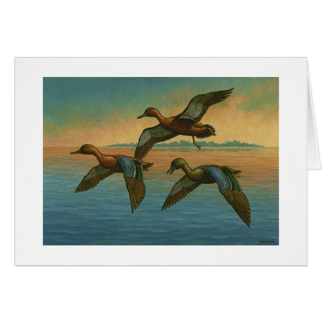 Cartão "Cinnamon Teal" de Paul McGehee (Frente horizontal)