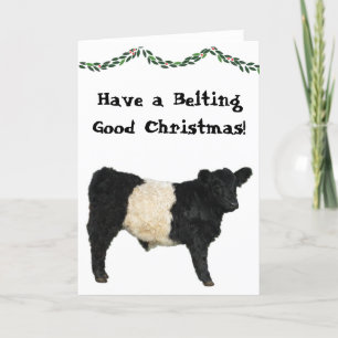 Cartão Cinto Bom Natal Belted Galloway Beltie Vaca