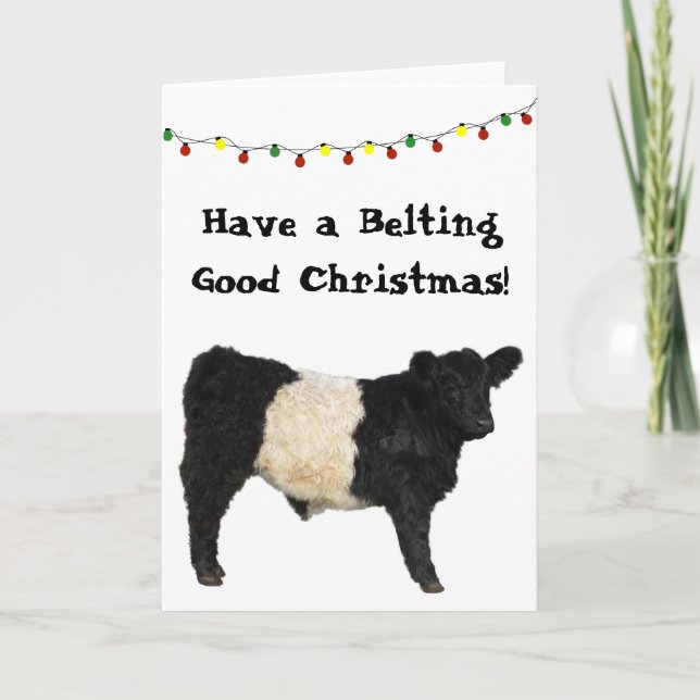 Cartão Cinto Bom Natal Belted Galloway Beltie Vaca (Frente)