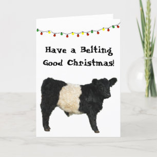 Cartão Cinto Bom Natal Belted Galloway Beltie Vaca