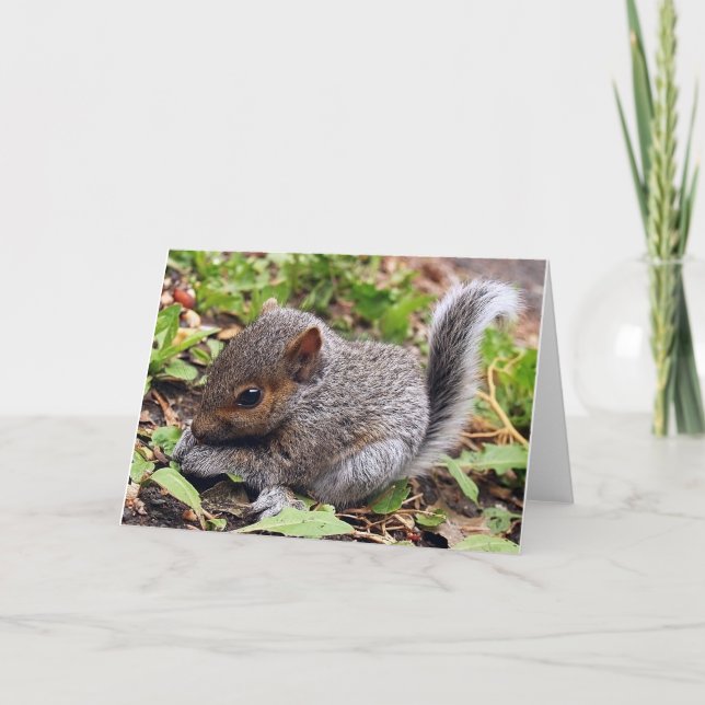 Cartão Cinza bebê (Frente)