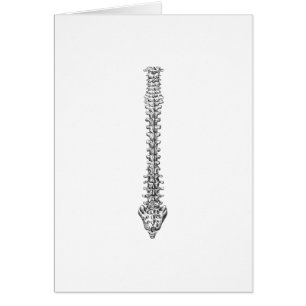 Cartão Cinza da espinha