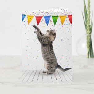 Cartão Cinza De Aniversário Por Gato Em Confetti