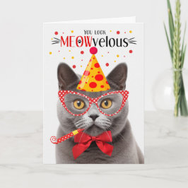 Cartão Cinza de Gato de Shorthair Britânico MEOWveloz Ani