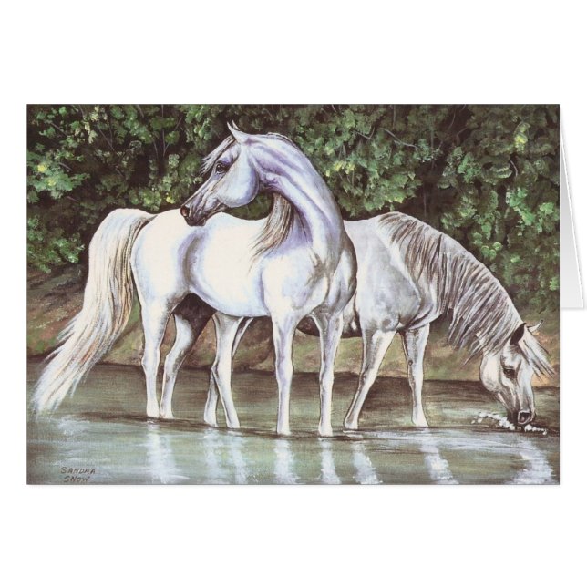 Cartão Cinza em fluxo (Frente Horizontal)