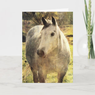 Cartão Cinza Horse Birthday
